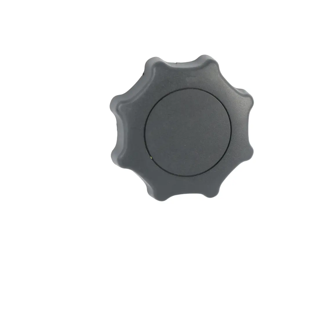 Mando Ajuste Respaldo Asiento Delantero para Audi A4 B7 8E con número de pieza 8E0881671A Audi A4 B7 8E Mando Ajuste Respaldo Asiento Delantero - SKU 8E0881671A - Número de pieza 8E0881671A