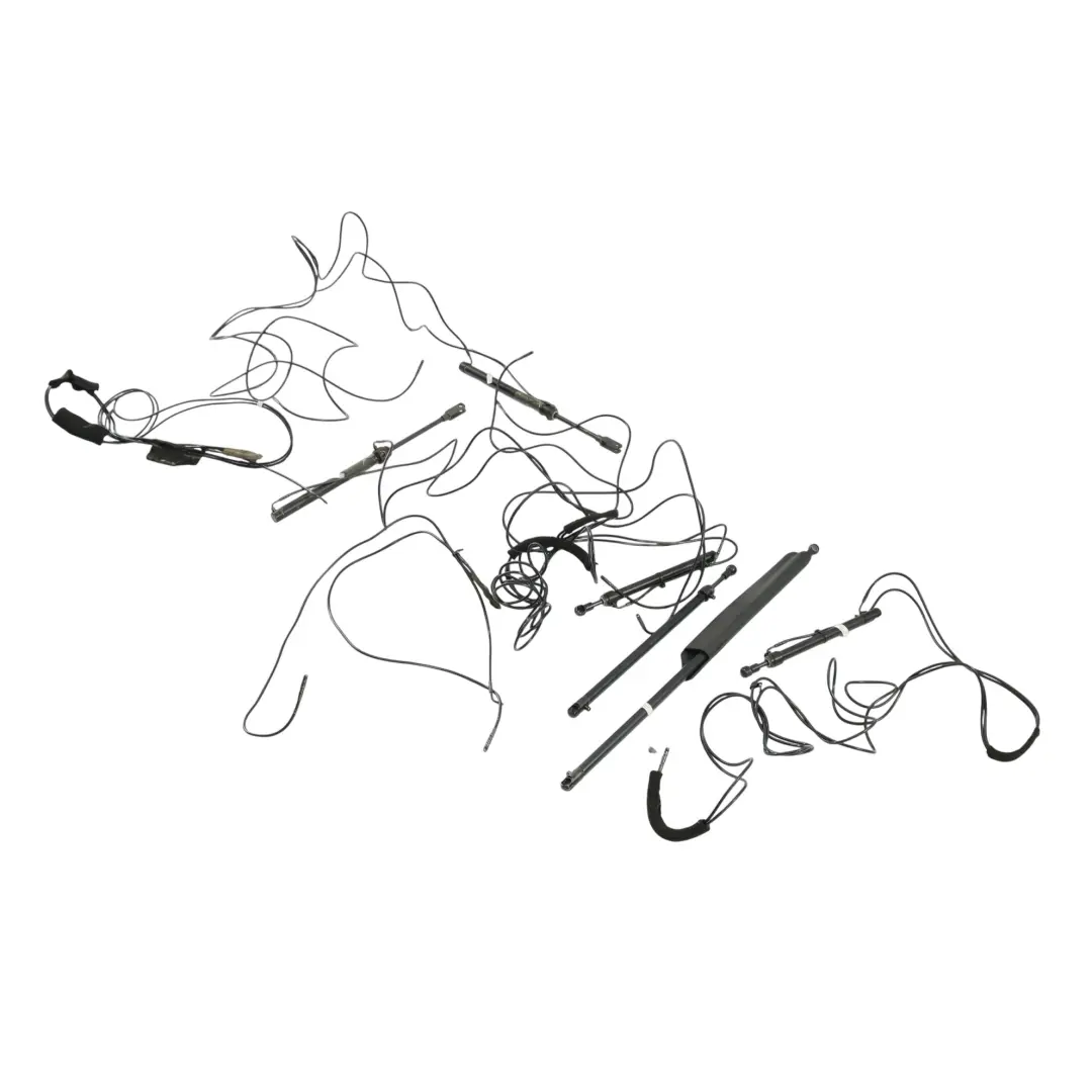 Audi A4 B7 Descapotable Mecanismo Techo Cilindro Hidráulico Set - SKU 8H0871795-2 - Número de pieza 8H0871795