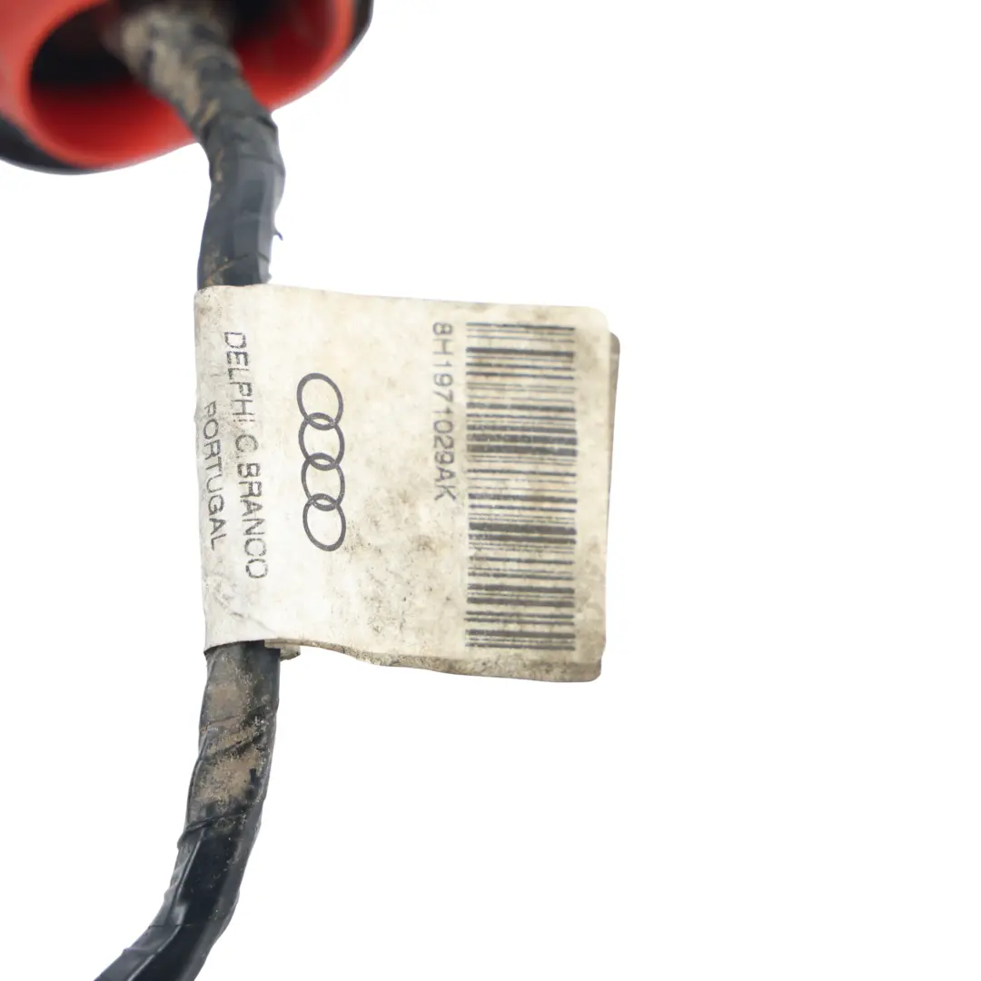 Wiązka Drzwi Przednia Lewa do Audi A4 Cabriolet B7 o numerze 8H1971029AK Audi A4 Cabriolet B7 Wiązka Drzwi Przednia Lewa - SKU 8H1971029AK - Numer Części 8H1971029AK