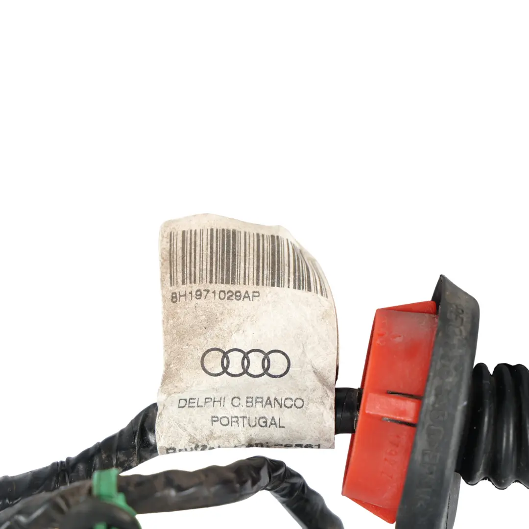 Audi A4 Cabrio Vordertür Kabelbaum Beifahrerseite - SKU 8H1971029AP - Teilenummer 8H1971029AP