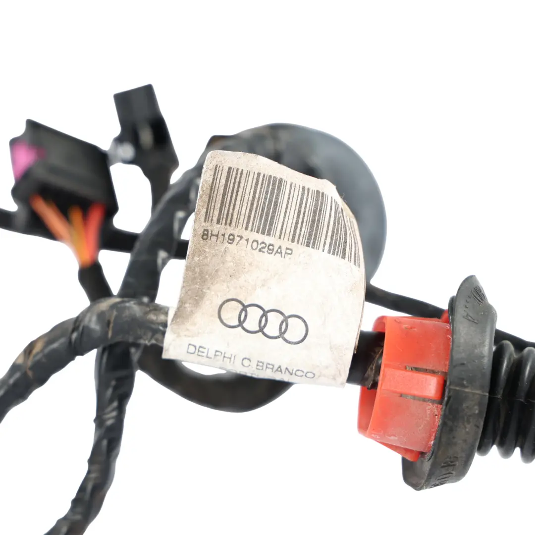 Cableado Puerta Delantera Lado Pasajero para Audi A4 Convertible con número de pieza 8H1971029AP Audi A4 Convertible Cableado Puerta Delantera Lado Pasajero - SKU 8H1971029AP - Número de pieza 8H1971029AP