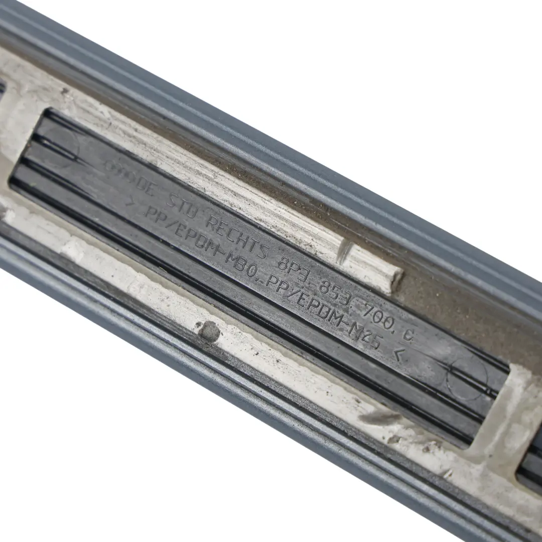 Audi A3 8P Rivestimento Porta Posteriore Destra Grigio Meteor Perlato Z7H - SKU 8P3853700C-MGR - Numero di parte 8P3853700C
