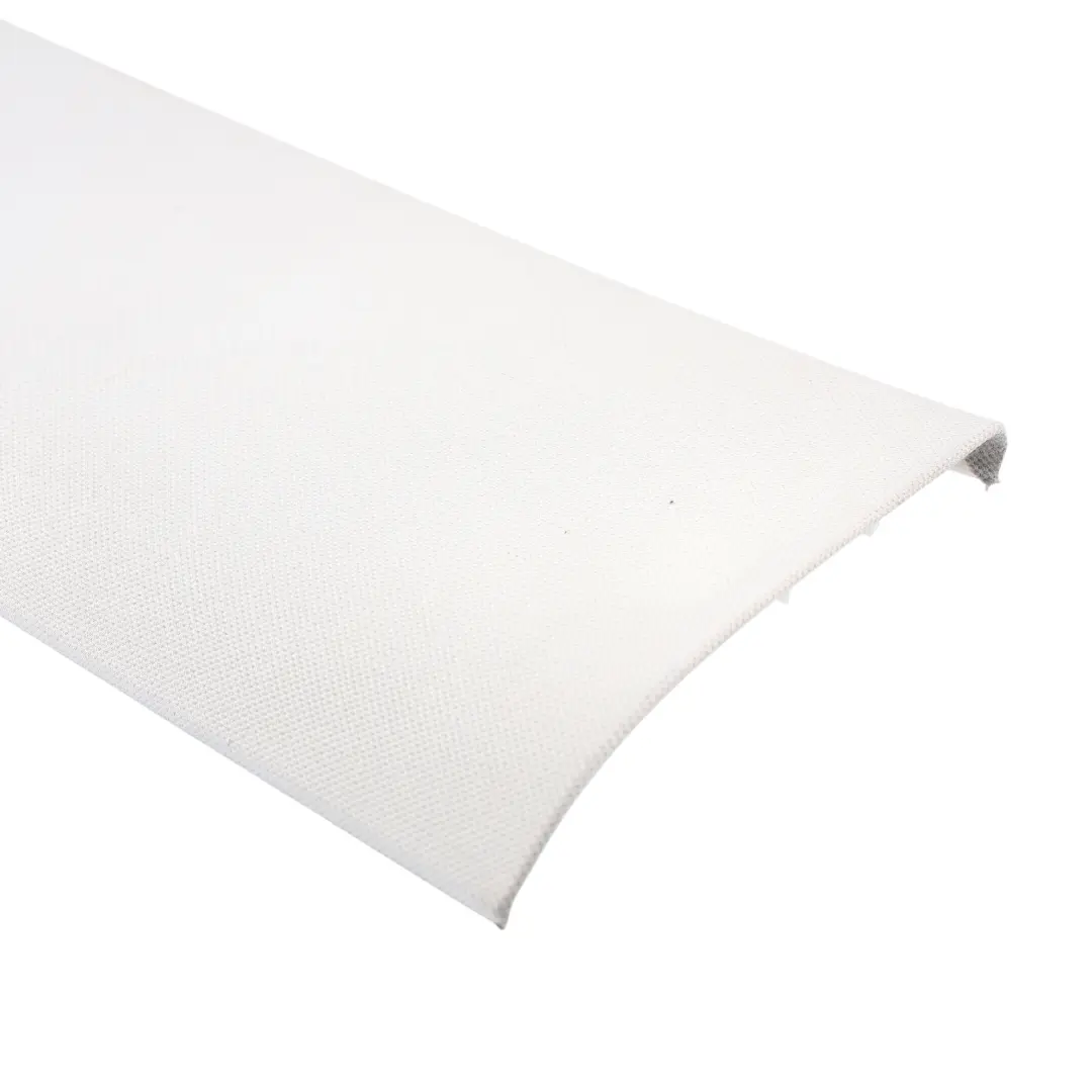 Audi A3 8P Pannello Rivestimento Tetto Superiore Posteriore Argento - SKU 8P4867839 - Numero di parte 8P4867839