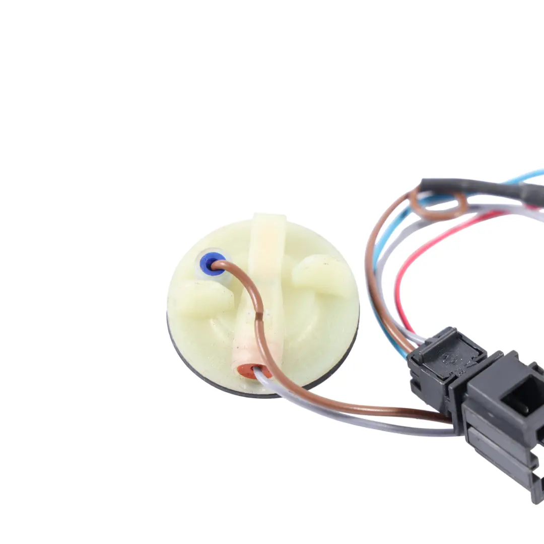 Heckleuchte Lampenhalter Fassung Links Rechts für Audi A3 8P Cabrio mit Teilenummer 8P7945221A Audi A3 8P Cabrio Heckleuchte Lampenhalter Fassung Links Rechts - SKU 8P7945221A - Teilenummer 8P7945221A
