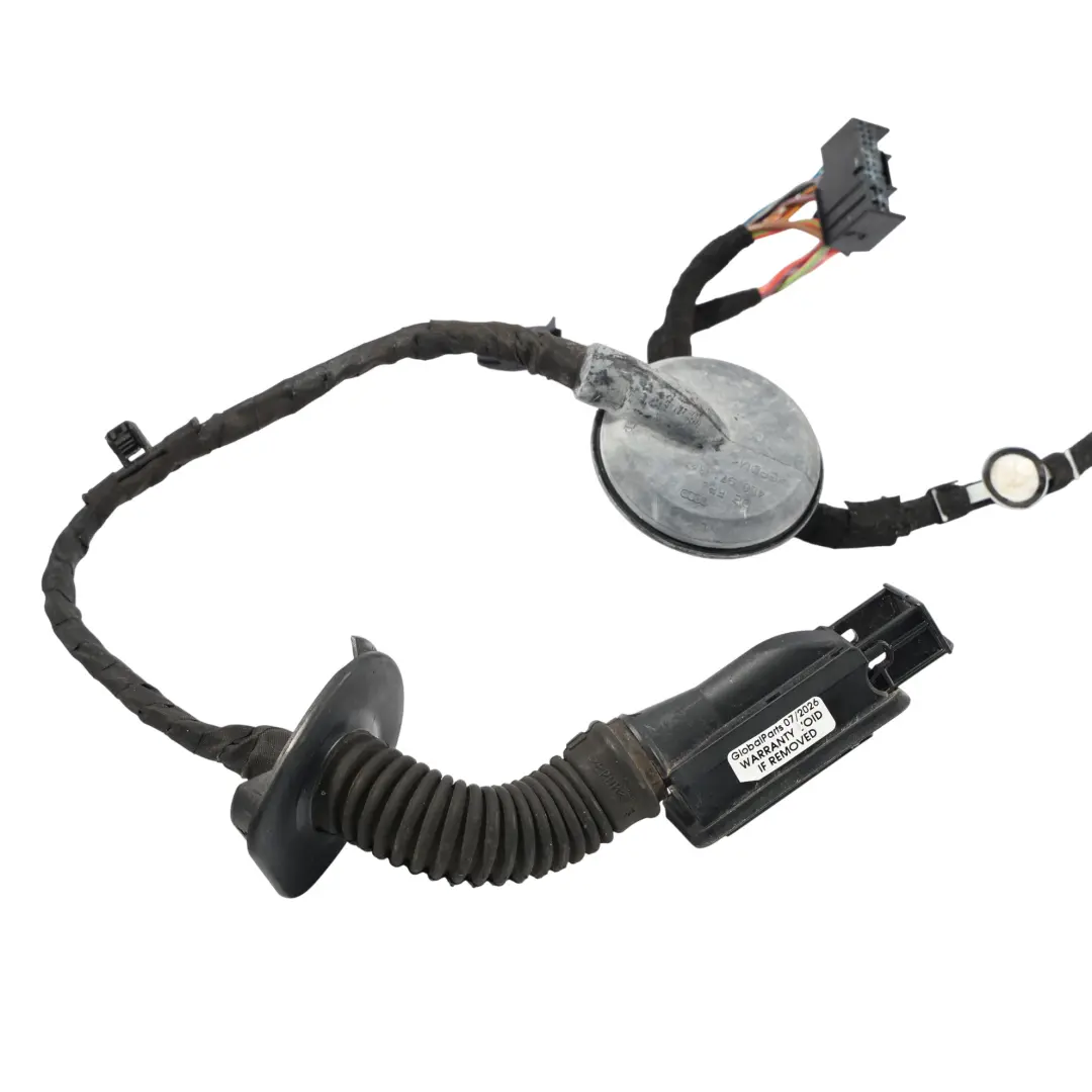 Front Door Wire Wiring Loom Harness Driver's Side to Audi A5 S5 8T with Part number 8T0971029 Audi A5 S5 8T Front Door Wire Wiring Loom Harness Driver's Side - SKU 8T0971029 - Part number 8T0971029