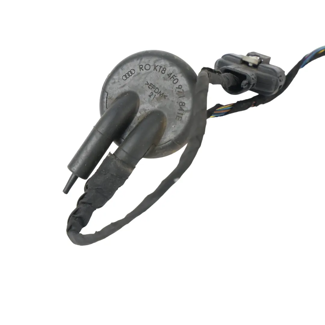 Audi A3 8V Front Door Wiring Loom Harness Passenger Side - SKU 8V4971030 - Part number 8V4971030