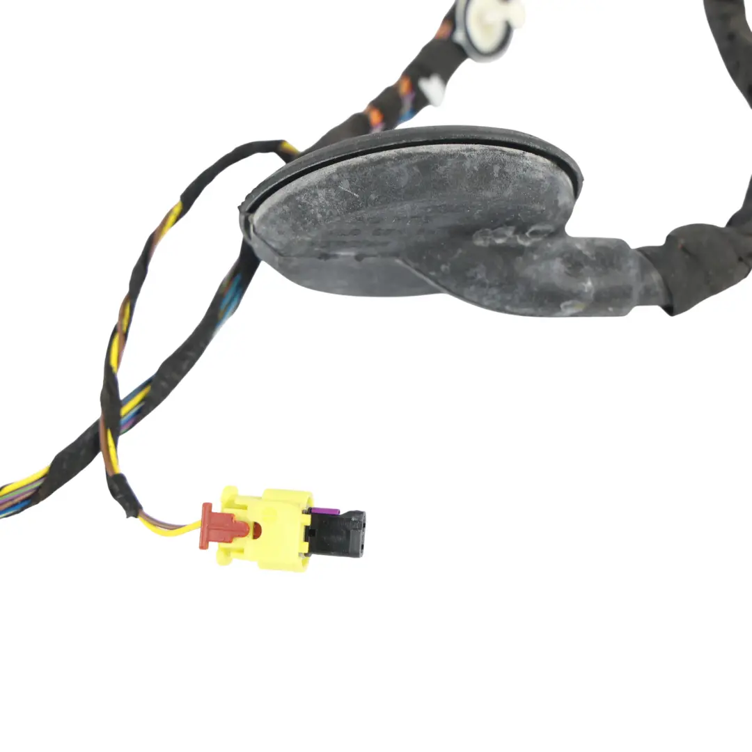 Audi A3 8V Front Door Wiring Loom Harness Passenger Side - SKU 8V4971030 - Part number 8V4971030