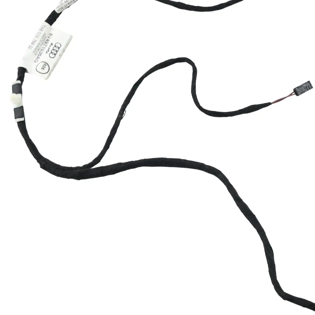 Audi A3 8V Cableado Arnés Puerta Delantera Lado Pasajero - SKU 8V4971036AG - Número de pieza 8V4971036AG