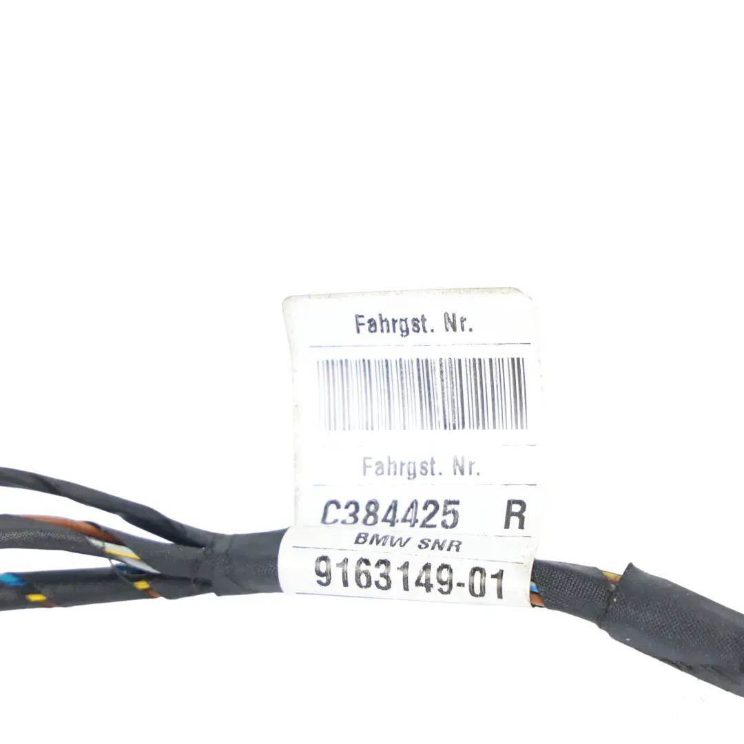 Türkabelbaum Kabel Hinten Links Rechts für BMW E60 E61 mit Teilenummer 9163149 BMW E60 E61 Türkabelbaum Kabel Hinten Links Rechts - SKU 9163149 - Teilenummer 9163149