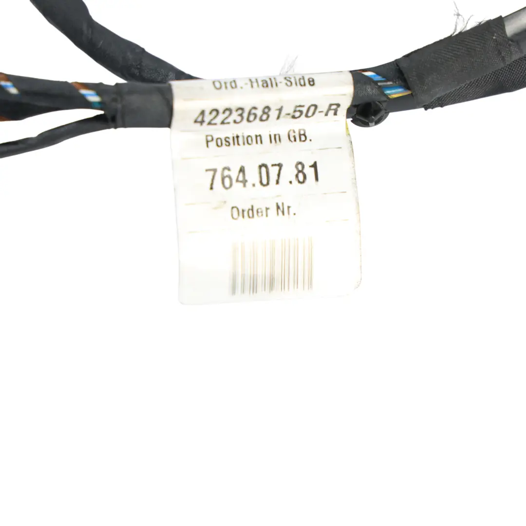 BMW E60 E61 Faisceau Câblage Porte Arrière Gauche Droit - SKU 9163149 - Numéro de pièce 9163149