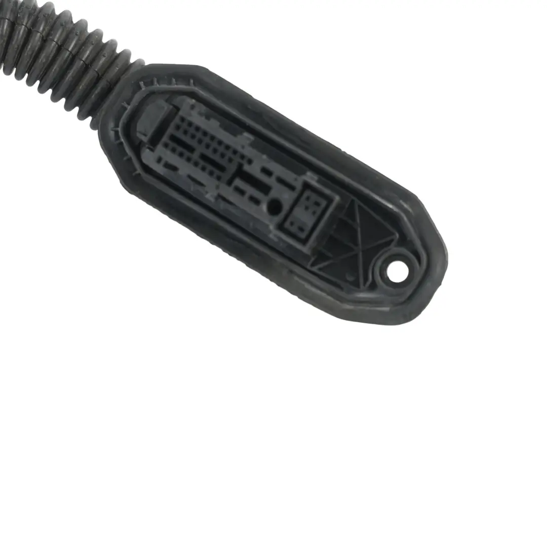 BMW E60 E61 Faisceau Câblage Porte Arrière Gauche Droit - SKU 9163149 - Numéro de pièce 9163149