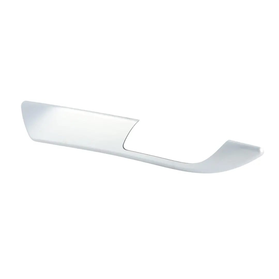 BMW Z4 E89 Poignée Porte Avant Garniture Aluminium Brossé Gauche - SKU 9167031 - Numéro de pièce 9167031