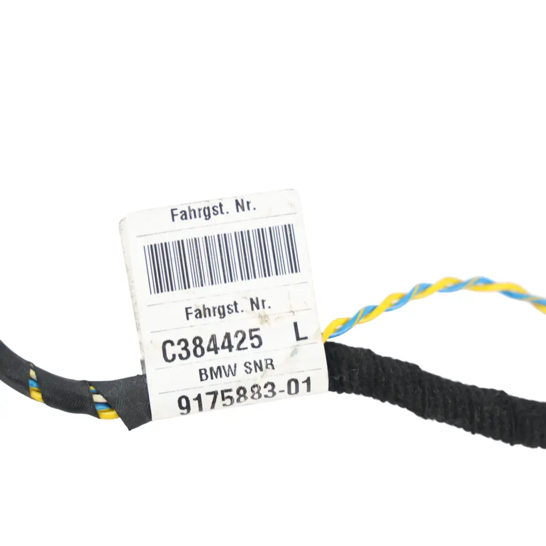 BMW E60 E61 LCI Cablaggio Elettrico Porta Anteriore Lato Passeggero - SKU 9175883 - Numero di parte 9175883