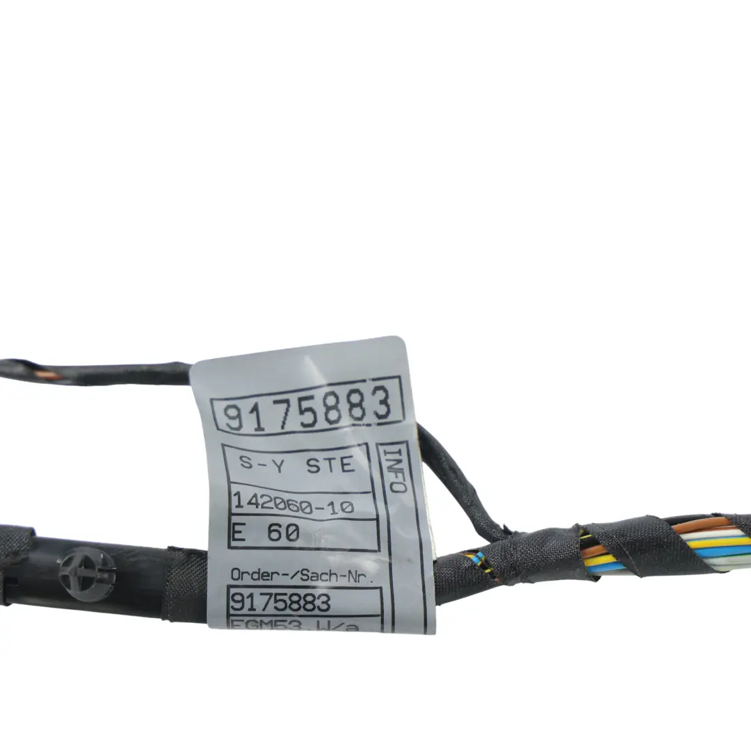 BMW E60 E61 LCI Faisceau Câblage Porte Avant Côté Passager - SKU 9175883 - Numéro de pièce 9175883