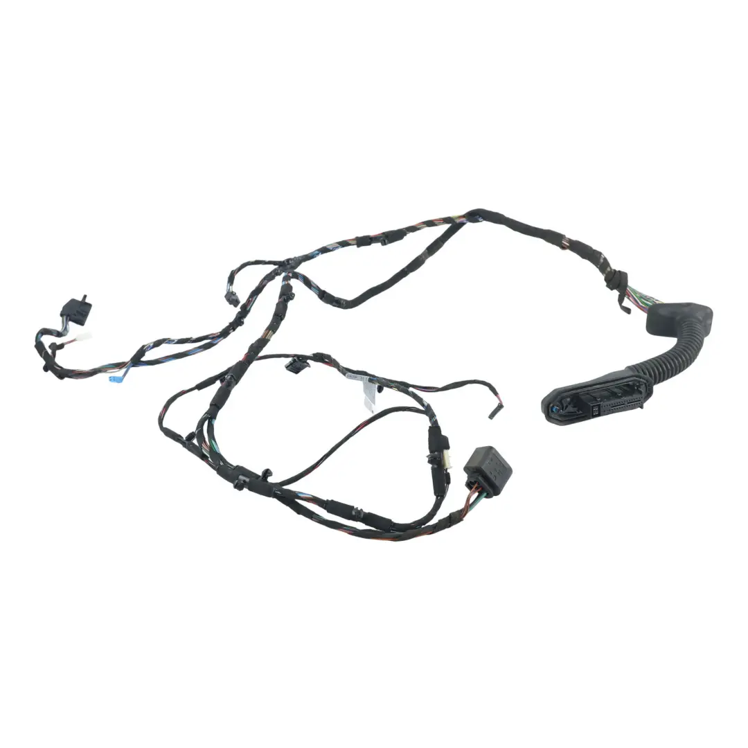 Faisceau Câblage Porte Avant Côté Conducteur pour BMW E92 à propos du numéro de pièce 9186654 BMW E92 Faisceau Câblage Porte Avant Côté Conducteur - SKU 9186654 - Numéro de pièce 9186654