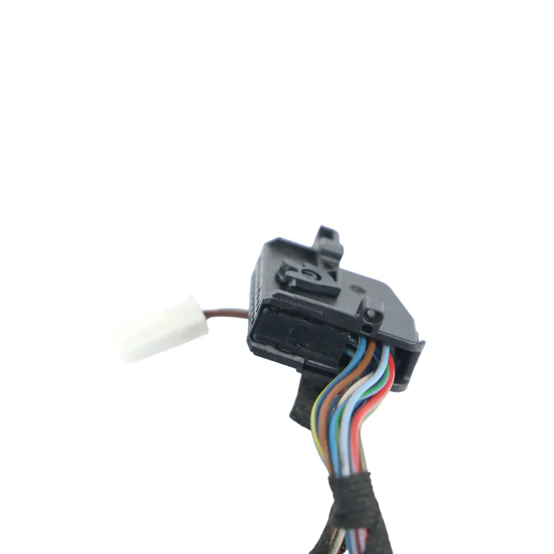 Cablaggio Elettrico Porta Anteriore Lato Guida per BMW E92 con numero di parte 9186654 BMW E92 Cablaggio Elettrico Porta Anteriore Lato Guida - SKU 9186654 - Numero di parte 9186654
