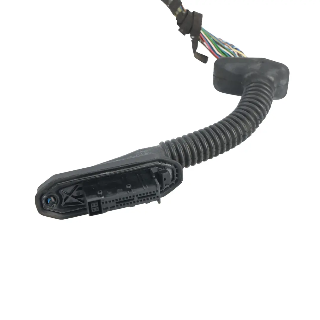 Cablaggio Elettrico Porta Anteriore Lato Guida per BMW E92 con numero di parte 9186654 BMW E92 Cablaggio Elettrico Porta Anteriore Lato Guida - SKU 9186654 - Numero di parte 9186654