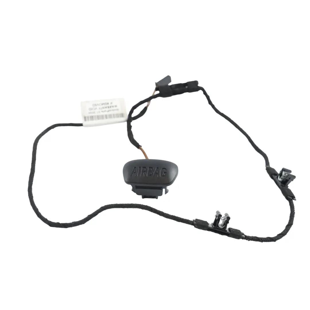 BMW F30 F31 Interior Light B-Pillar Cable Wiring With Cover Trim SET X2 - SKU 9242163-1 - Part number 9242163