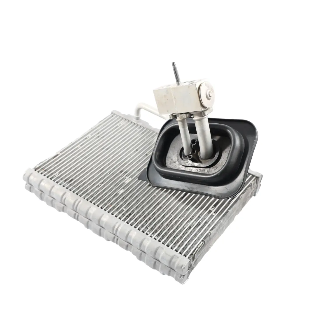 Heater Heat Exchanger Expansion Valve Air Conditioning to Mercedes W447 with Part number A0008304801 Mercedes W447 Heater Heat Exchanger Expansion Valve Air Conditioning - SKU A0008304801 - Part number A0008304801