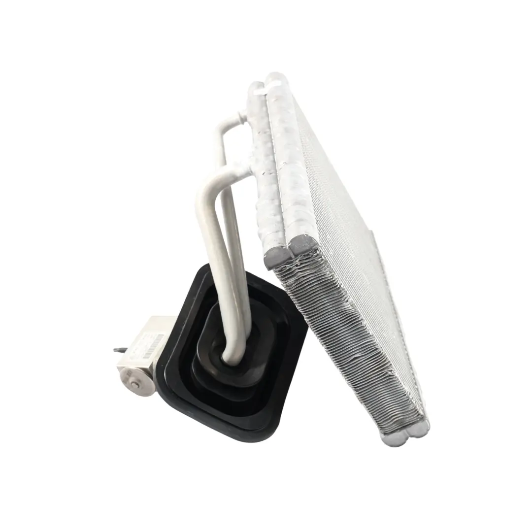 Mercedes W447 Válvula Expansión Intercambiador Calor Climatizador - SKU A0008304801 - Número de pieza A0008304801