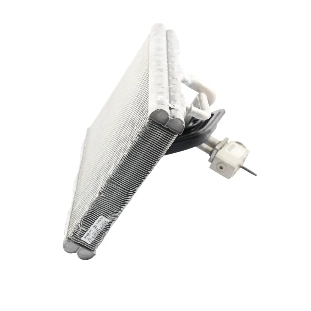 Mercedes W447 Heater Heat Exchanger Expansion Valve Air Conditioning - SKU A0008304801 - Part number A0008304801