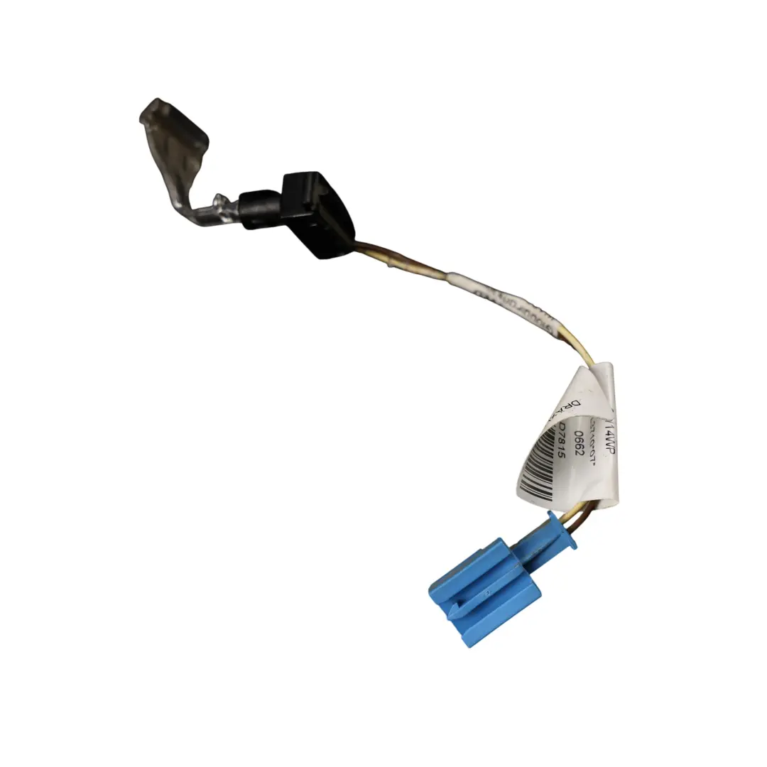 Mercedes W166 Door Interior Ambient Light Wire Front Rear Left N/S - SKU A0009066900 - Part number A0009066900