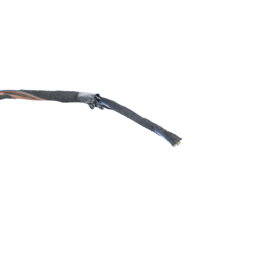 Lampada Posteriore Interna Cablaggio Sinistra per Mercedes S205 Estate con numero di parte A2059065005 Mercedes S205 Estate Lampada Posteriore Interna Cablaggio Sinistra - SKU A2059065005-2 - Numero di parte A2059065005