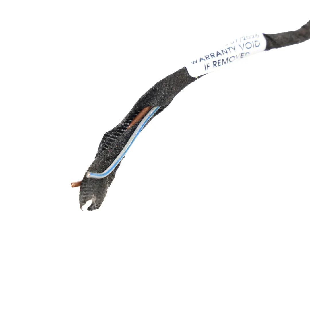 Mercedes W246 Luz Maletero Trasero Cableado Interior Derecho - SKU A2469066400-2 - Número de pieza A2469066400