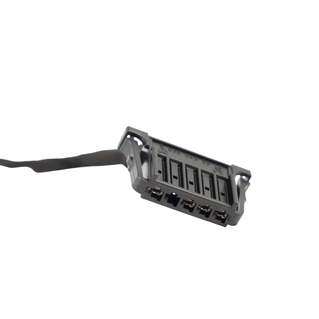 Mercedes W246 Luz Maletero Trasero Cableado Interior Derecho - SKU A2469066400-2 - Número de pieza A2469066400