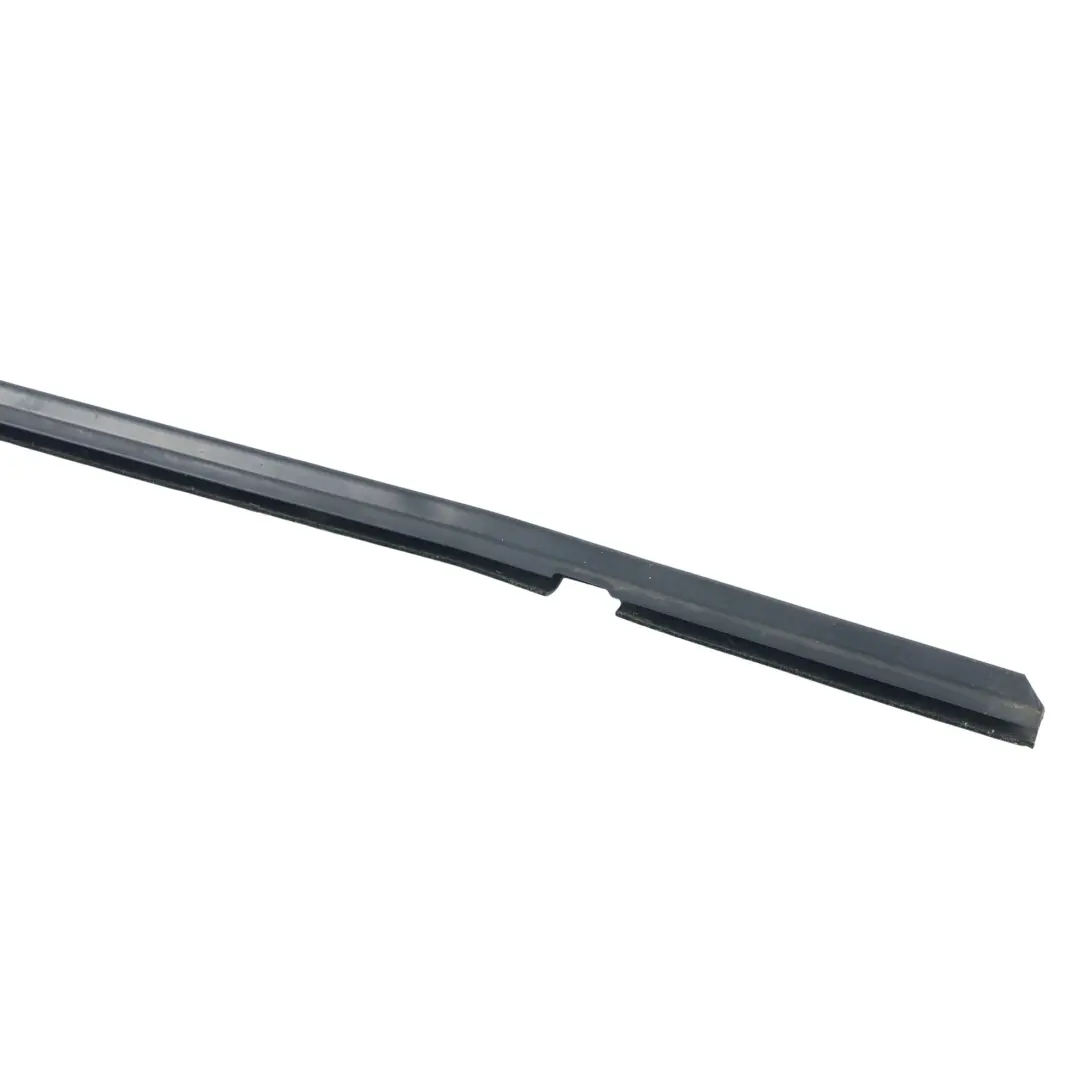 Land Rover Discovery 2 L318 Door Window Outer Seal Rear Left N/S - SKU CGE101530 - Part number CGE101530