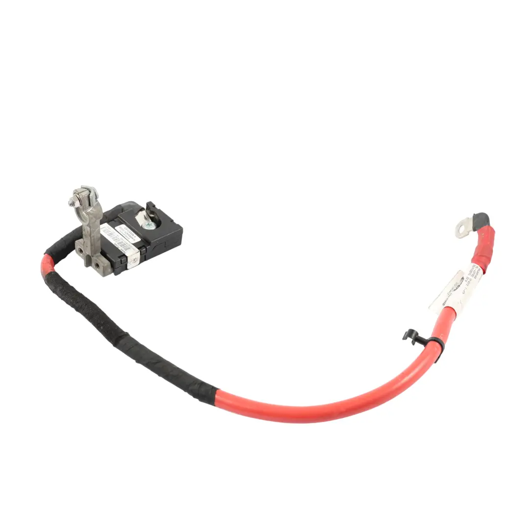 Positive Plus Fuse Cable Loom to Range Rover L405 Battery with Part number CK52-14N144-CE Range Rover L405 Battery Positive Plus Fuse Cable Loom - SKU CK52-14N144-CE-1 - Part number CK52-14N144-CE