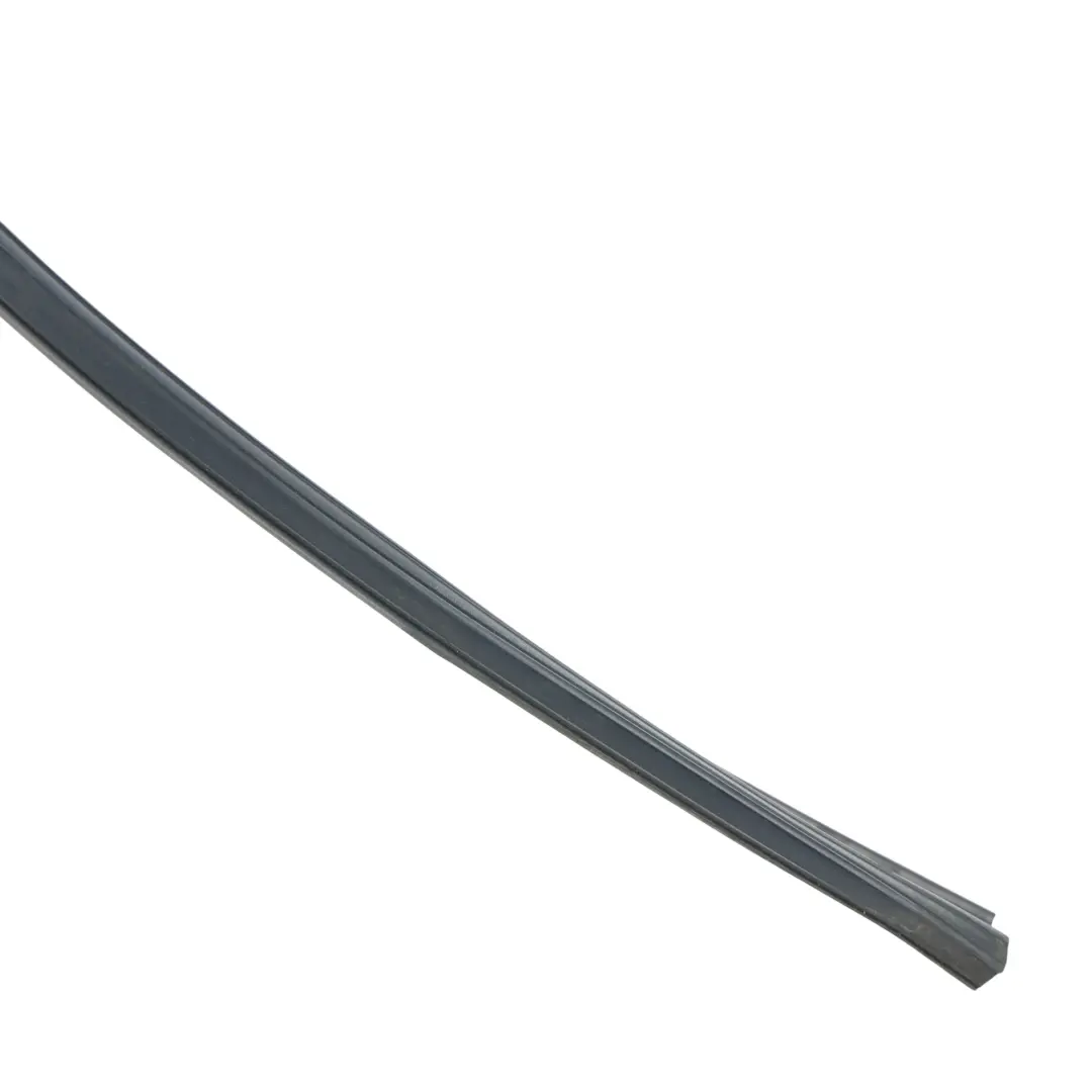 Range Rover Evoque L538 Front Door Glass Run Seal Rubber Left N/S - SKU LR027343 - Part number LR027343