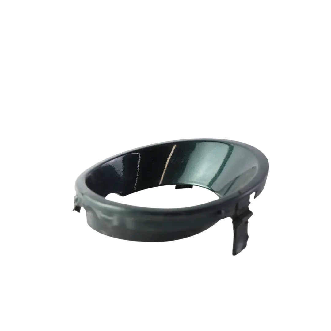 Fendinebbia Anteriore Destro Verde Oxford Metallizzato - 430 per BMW X5 E53 con numero di parte P0007138 BMW X5 E53 Fendinebbia Anteriore Destro Verde Oxford Metallizzato - 430 - SKU P0007138-OXF - Numero di parte P0007138