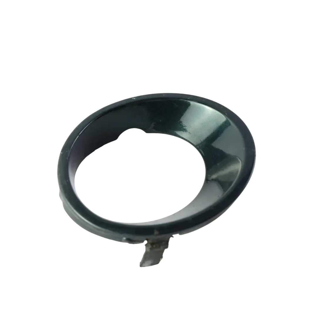 Fendinebbia Anteriore Destro Verde Oxford Metallizzato - 430 per BMW X5 E53 con numero di parte P0007138 BMW X5 E53 Fendinebbia Anteriore Destro Verde Oxford Metallizzato - 430 - SKU P0007138-OXF - Numero di parte P0007138