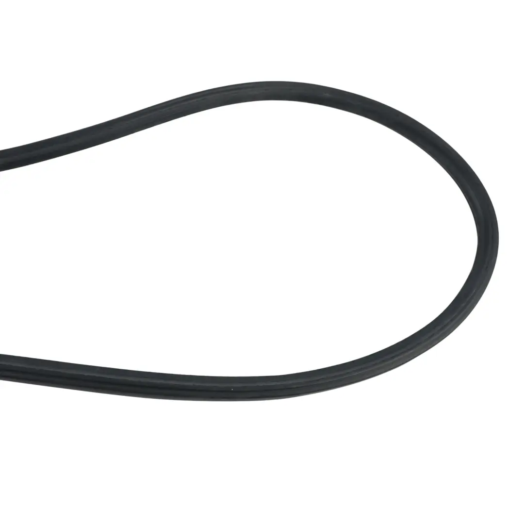 Ford Fiesta Mk5 Front Door Weatherstrip Seal Gasket Left Right N/O/S - SKU 1426713 - Part number 1426713