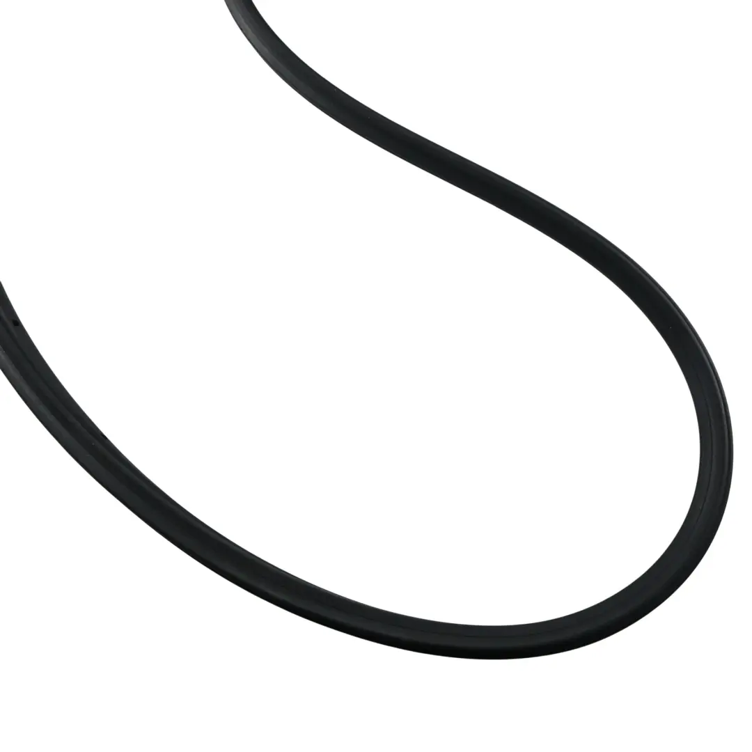 Ford Focus St-2 Mk2 Front Door Opening Weatherstrip Left N/S 4M51-B20709-AG - SKU 1495869 - Part number 1495869