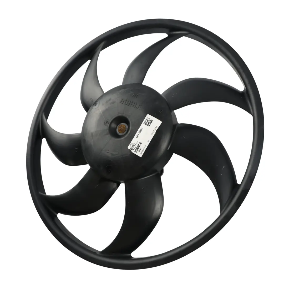 Kühler Lüfter Flügel 2.0 HDi für Citroën Boxer Relay Ducato mit Teilenummer 1671210080 Citroën Boxer Relay Ducato Kühler Lüfter Flügel 2.0 HDi - SKU 1671210080-2 - Teilenummer 1671210080