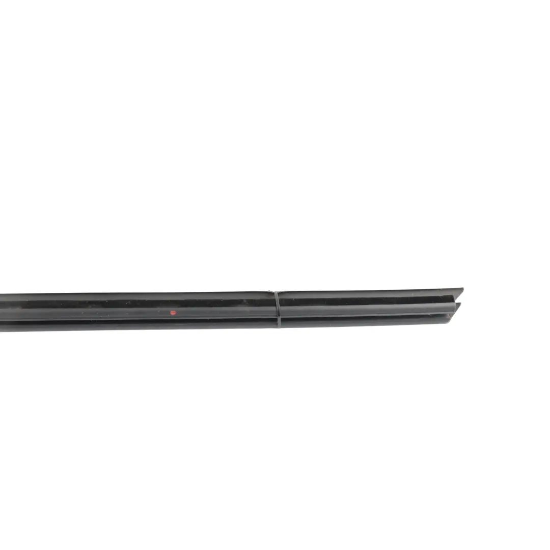 Ford C-Max Mk2 Front Door Inner Seal Weatherstrip Right O/S - SKU 1744649 - Part number 1744649