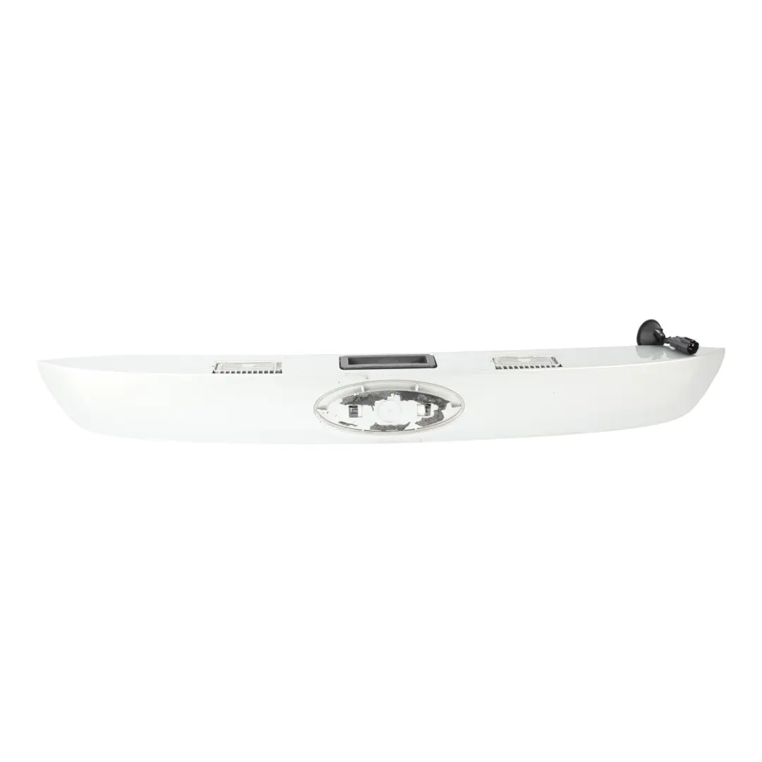 Ford C-Max MK2 Maniglia Portellone Posteriore Moondust Silver ZJ AM51-10E998-DB - SKU 1786385-MDS - Numero di parte 1786385