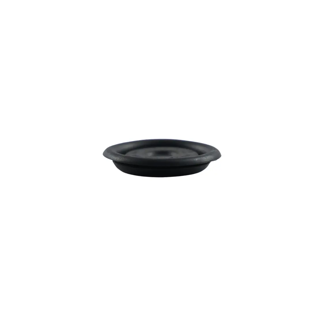 Gummi Dichtung Tülle für Audi A4 B7 A6 C7 VW Passat Golf Seat Exeo mit Teilenummer 191971928 Audi A4 B7 A6 C7 VW Passat Golf Seat Exeo Gummi Dichtung Tülle - SKU 191971928 - Teilenummer 191971928