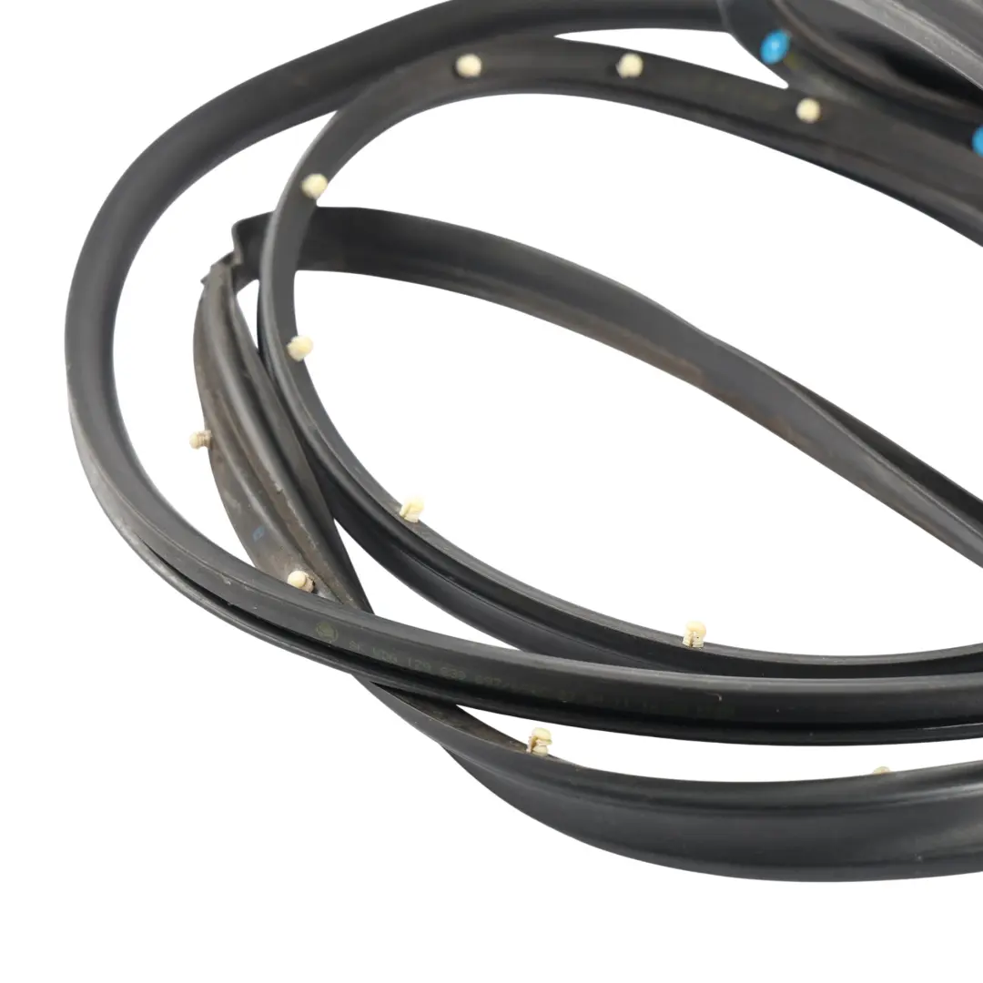 MK2 Estate Junta Puerta Trasera Derecha para Skoda Octavia con número de pieza 1Z9839698C Skoda Octavia MK2 Estate Junta Puerta Trasera Derecha - SKU 1Z9839698C - Número de pieza 1Z9839698C