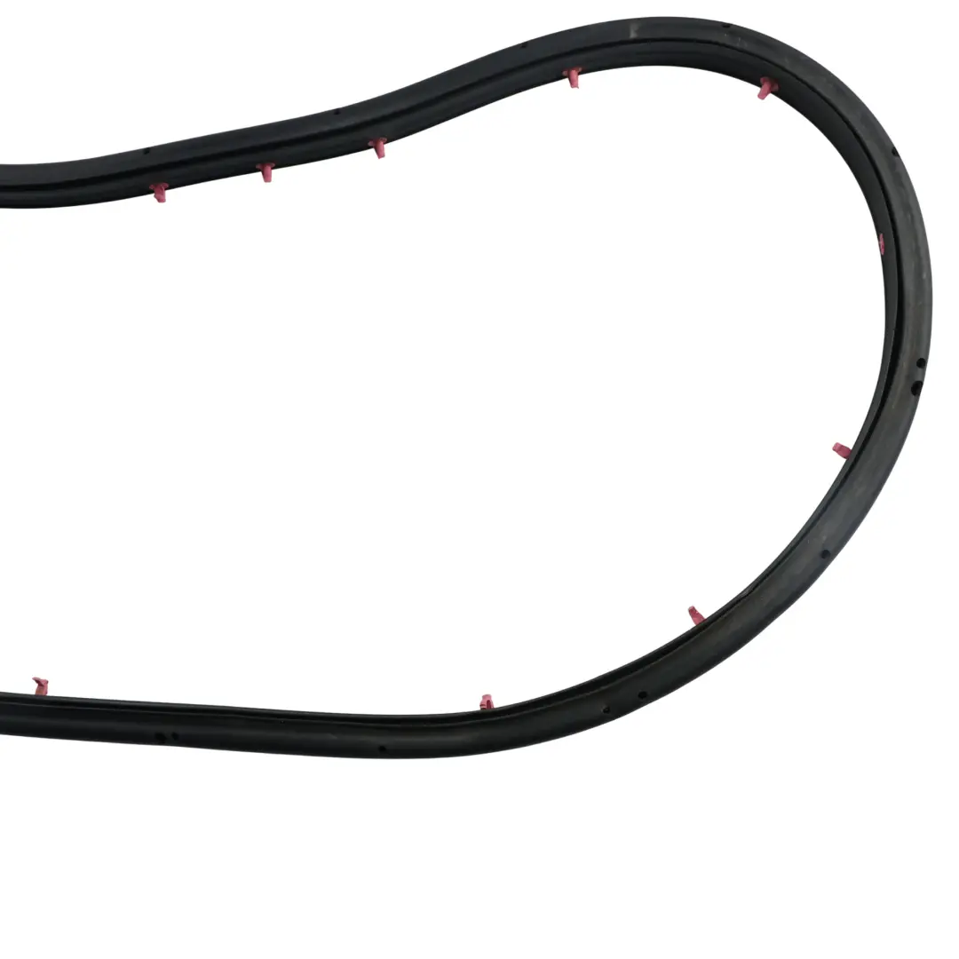 Ford Kuga C520 Türdichtung Gummi Vorne Links CJ54-S20531-AE - SKU 2010397 - Teilenummer 2010397