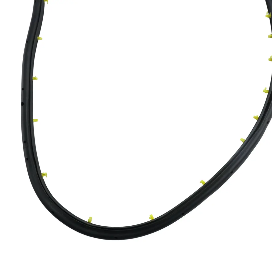Ford Kuga C520 Door Seal Rubber Gasket Rear Right O/S CJ54-S25324-AE - SKU 2010398 - Part number 2010398