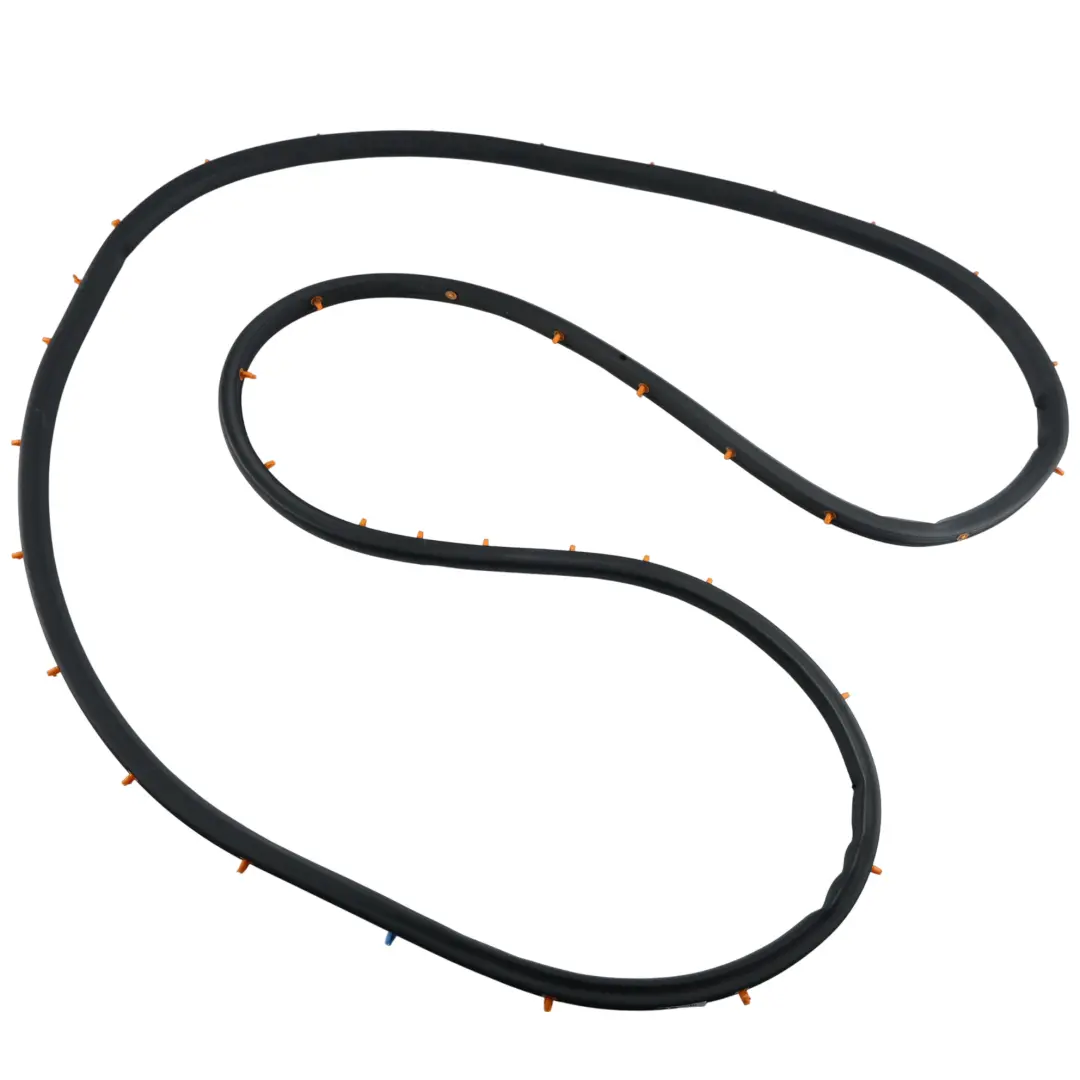 Ford Kuga C520 Door Weatherstrip Rubber Gasket Seal Rear Left N/S CJ54-S25325-AE - SKU 2010399 - Part number 2010399