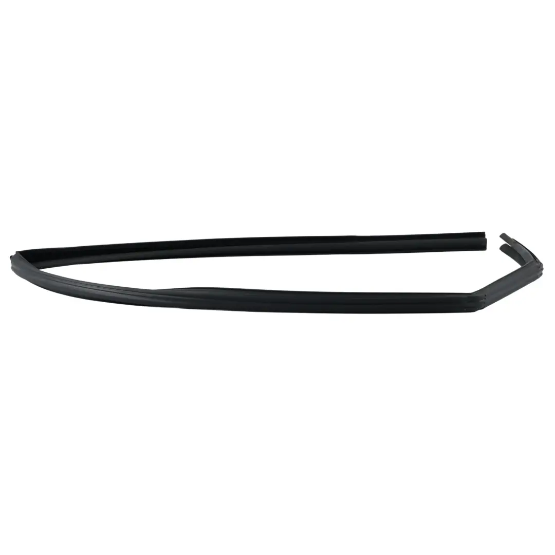 Ford Fiesta MK8 Guía Ventanilla Puerta Trasera Derecha H1BB-A25824-AC - SKU 2218541 - Número de pieza 2218541