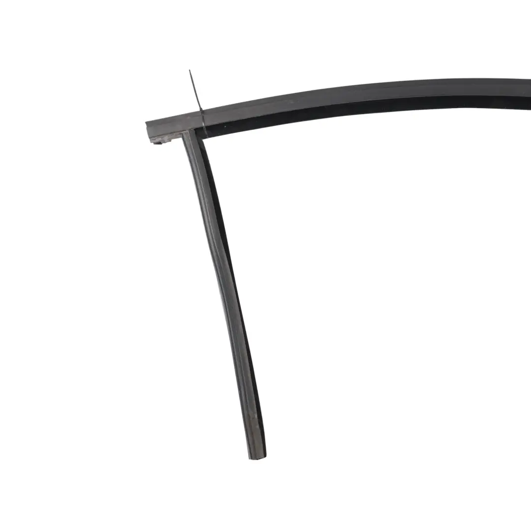 Mk2 Front Door Window Guide Seal Gasket Right O/S to Ford C-Max with Part number 2393817 Ford C-Max Mk2 Front Door Window Guide Seal Gasket Right O/S - SKU 2393817 - Part number 2393817