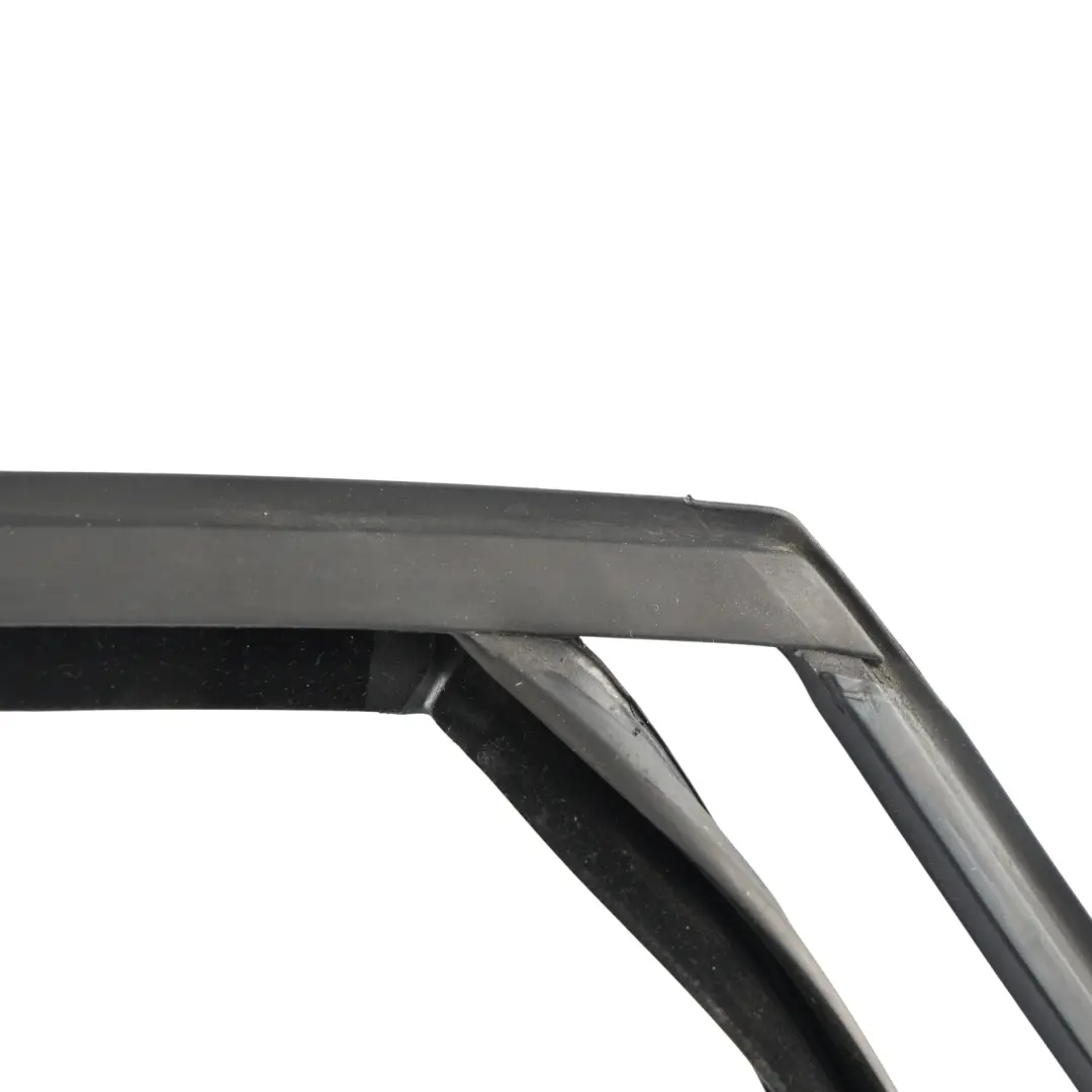 Ford C-Max Mk2 Front Door Window Guide Seal Gasket Right O/S - SKU 2393817 - Part number 2393817