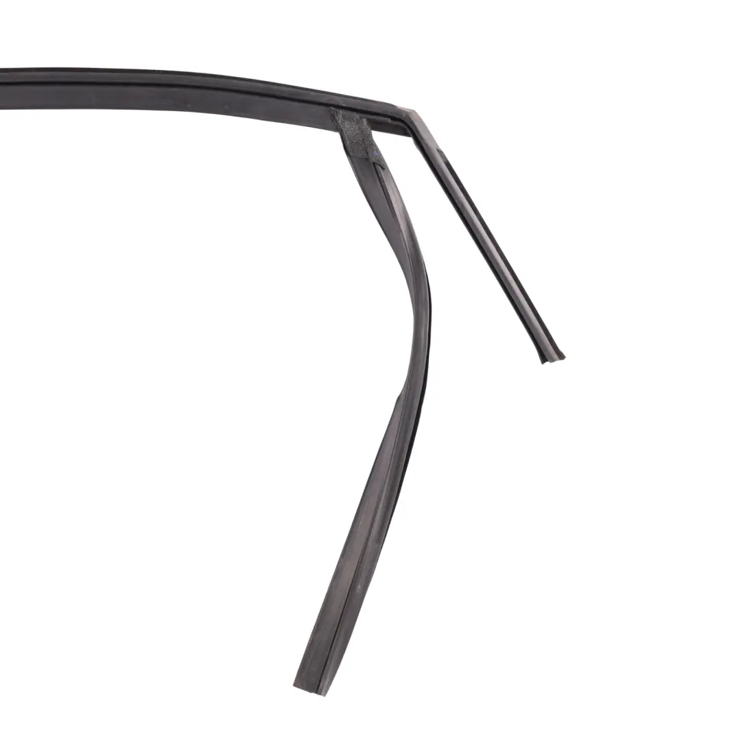 Mk2 Front Door Window Guide Seal Gasket Left N/S to Ford C-Max with Part number 2393819 Ford C-Max Mk2 Front Door Window Guide Seal Gasket Left N/S - SKU 2393819 - Part number 2393819