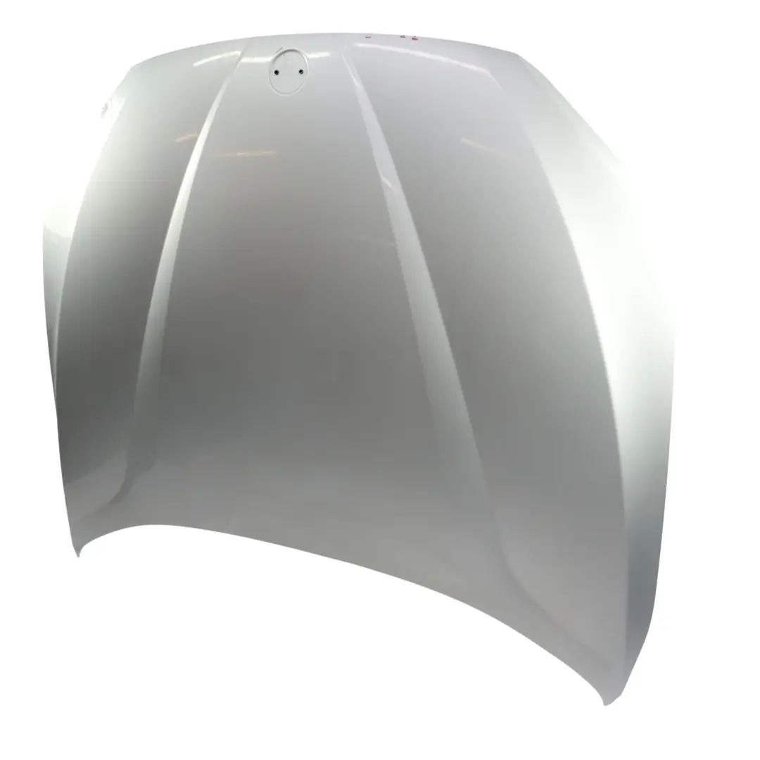 BMW X1 E84 Hood Bonnet Front Panel - SKU 2993151-GSB - Part number 2993151