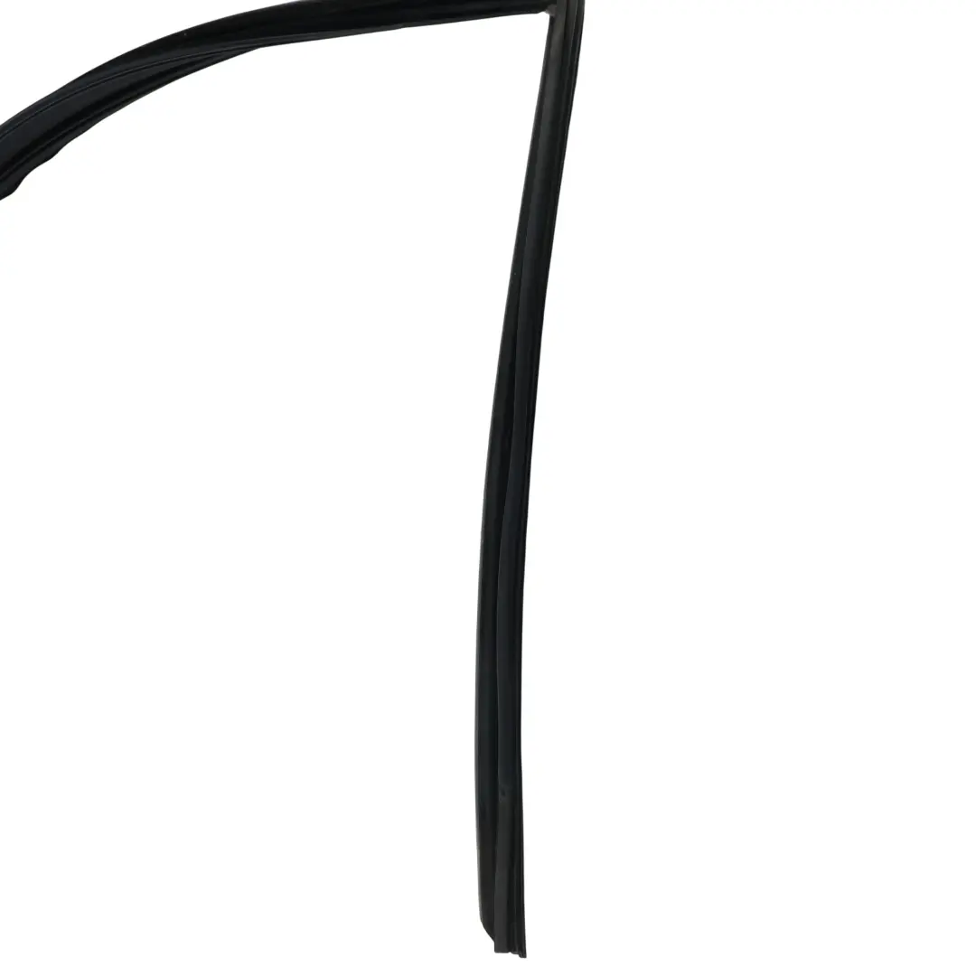 Ford Fiesta St Mk5 Door Glass Run Window Seal Front Left N/S - SKU 2S51-B21511-AH-1 - Part number 2S51-B21511-AH